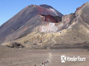 Round Trip Tongariro Crossing Shuttle from National Park