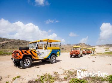 Rugged Natural Pool Safari