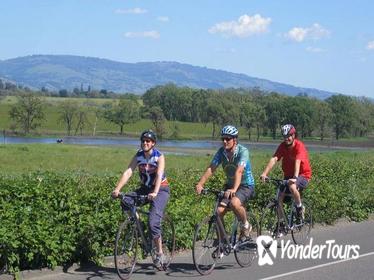 Russian River Valley Bike and Kayak Wine Tour