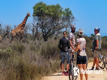 Safari Bike Tour from Cape Town