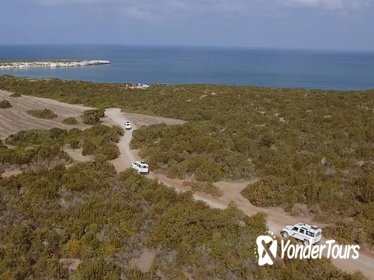 Safari Tour to Akamas Peninsula from Paphos