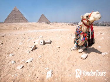 Safari Tour: Horse or Camel Ride at Sunrise at Giza