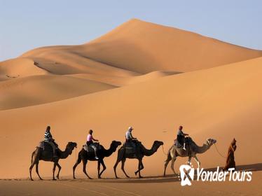 Sahara Desert 3-Day Tour from Marrakech: Ouarzazate, Mhamid Desert and Erfoud