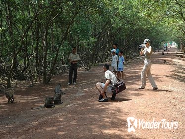 Sai Gon: Can Gio Biosphere Reserve and Monkey Island tour