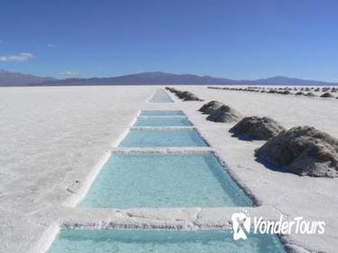 Salinas and Purmamarca Full Day Tour from Salta