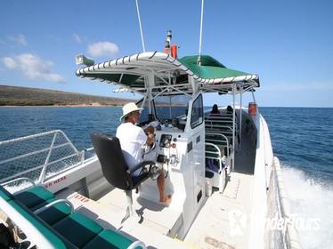 Sanity Snorkel Vessel Private Charter