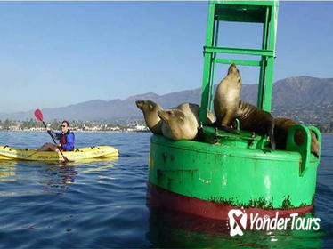 Santa Barbara Harbor Kayak