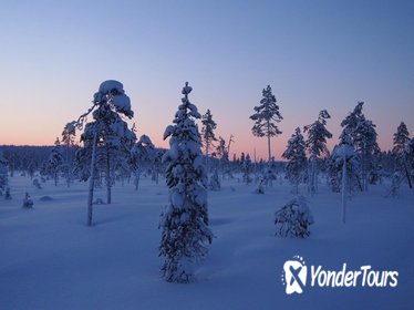 Santa Claus Sleigh Ride around Arctic Circle from Rovaniemi