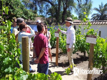 Santa Rita Winery Selection Tour