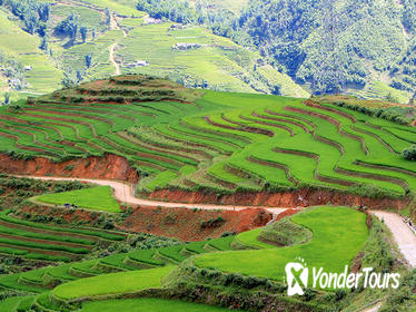 Sapa trekking 2 days 2 nights group tour - homestay from Hanoi