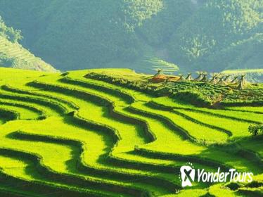 Sapa Trekking Group Tour by Bus from Hanoi with 2 Nights Hotel stay