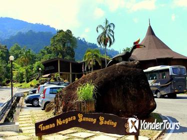 Sarawak Gunung Gading National Park (Rafflesia) Tour