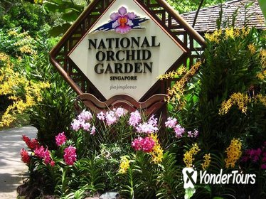 Scented stories of Singapore: Tour of Orchid Garden
