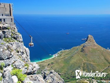 Scheduled tour: Table Mountain, Penguins & Cape Point from Cape Town-Shared Tour