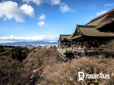 Scholar-led Kyoto Walking Tour: Shintoism and Buddhism in Japan