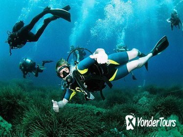 Scuba Diving Baptism and Snorkeling in Ibiza