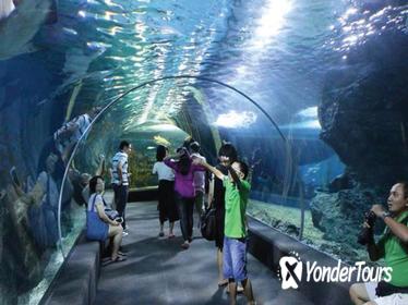 Sea Life Bangkok Admission Ticket