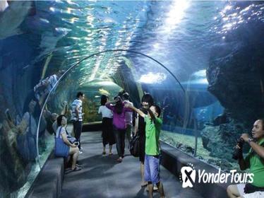 Sea Life Bangkok Admission Ticket