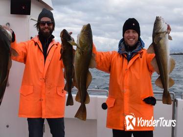 Sea-Fishing Tour from Reykjavik