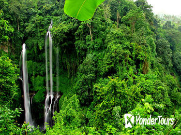 Sekumpul Waterfall Trekking Sekumpul Waterfall Trekking