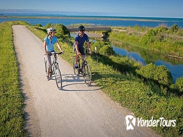 Self-Guided Biking Tour of Hawke's Bay Wineries