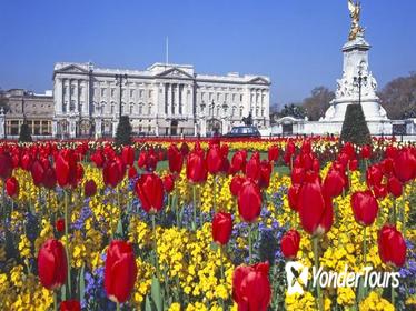 Self-Guided Buckingham Palace and Windsor Castle Tour