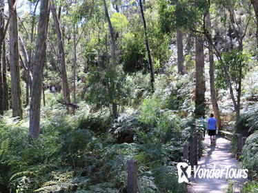 Self-Guided Waterfall Gully to Mount Lofty Hike from Adelaide