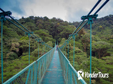 Selvatura Park Hanging Bridge Canopy Tour in Monteverde