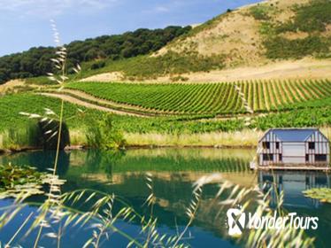 Semi Private Small Group Wine Country Tour from San Francisco