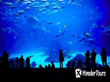 Sentosa S.E.A. Aquarium™ Admission in Singapore with Optional Hotel Transport