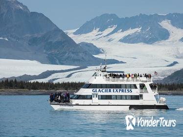 Seward Shore Excursion: Full-Day Kenai Fjords National Park Cruise