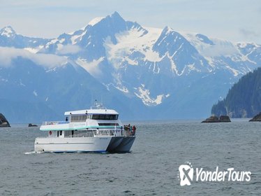 Seward Shore Excursion: Northwestern Fjord Sightseeing Cruise