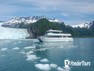 Seward Shore Excursion: Pre- or Post-Cruise Kenai Fjords National Park Tour