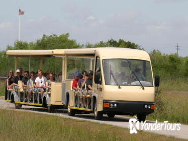 Shark Valley Everglades Guided Tram Tour