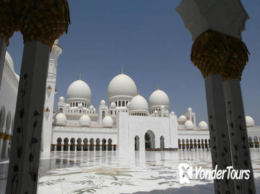 Sheikh Zayed Mosque and Falcon Hospital Tour in Abu Dhabi