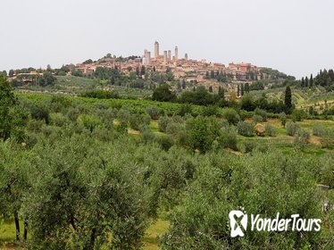 Shore excursion to Siena and San Gimignano with Wine Tasting & Lunch