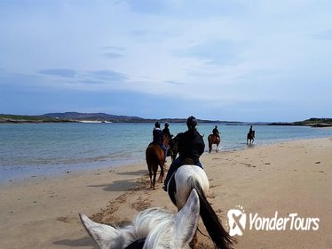 Shore Excursion: Full-day Wild Atlantic Way Horseback Riding Excursion from Galway