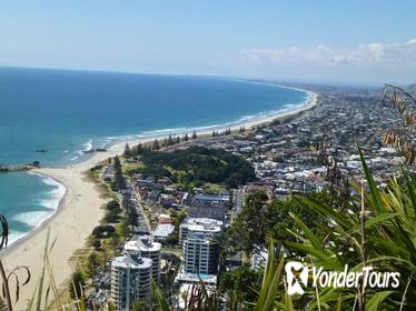 Shore Excursion: Tauranga Highlights Including The Elms Mission Station