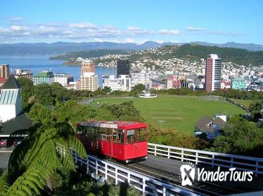 Shore Excursion: Wellington Highlights Small-Group Tour