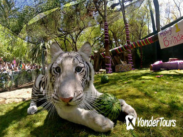 Siegfried & Roy's Secret Garden and Dolphin Habitat at the Mirage Hotel and Casino