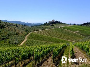 Siena and Chianti Wineries Excursion by Private Luxury Van from Florence