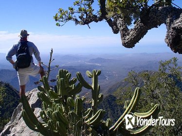 Sierra de la Laguna Biosphere Reserve Hike from Todos Santos