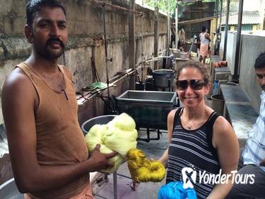 Silk-Weaving and Organic Farm Motorcycle Day Trip from Chennai