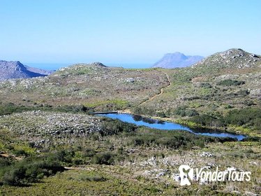 Silvermine Nature Reserve Hike from Cape Town