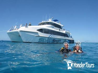 Silverswift Outer Great Barrier Reef Dive and Snorkel Cruise from Cairns