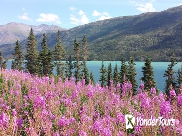 Skagway Shore Excursion: Half-Day Tour to the Yukon Border