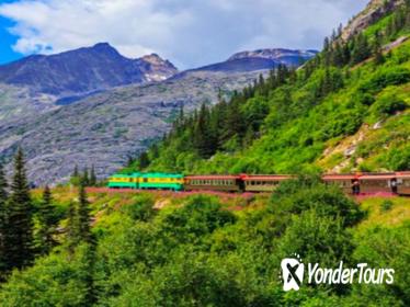 Skagway Shore Excursion: White Pass Summit Rail and Bus Tour