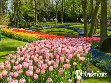 Skip the Line: Keukenhof Gardens Tour and Tulip Farm Visit from Amsterdam