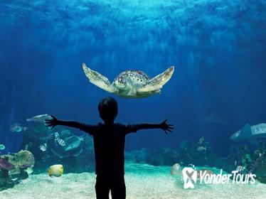 Skip the Line: Vancouver Aquarium Admission