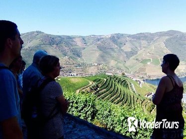 Small Group Douro Wine Valley Tour with Lunch and Wine Tasting